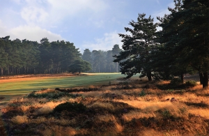 Hankley Common Golf Club